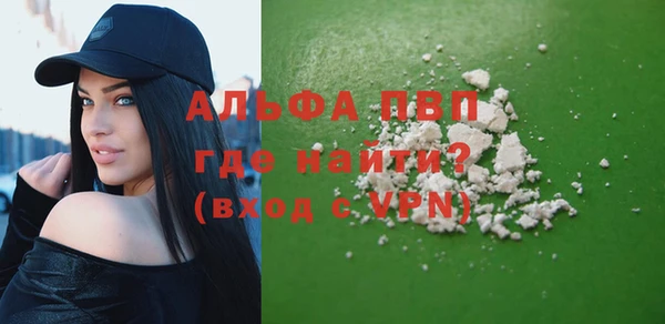 СК Алексин