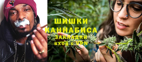 сатива Вязьма