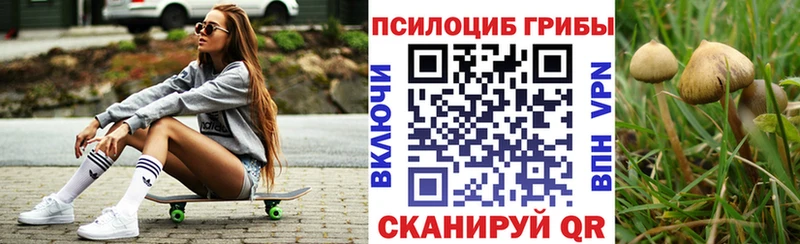 Псилоцибиновые грибы Cubensis  блэк спрут онион  Хадыженск  даркнет сайт 