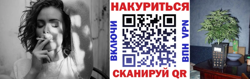 Бошки марихуана гибрид  Хадыженск 